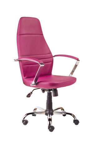 Fokus KB-731 Müdür Koltuğu